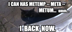 I back now, kthxbai