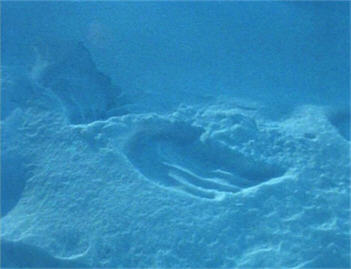 S77-footprints1b